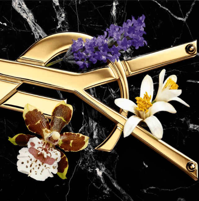 YSL Libre 3